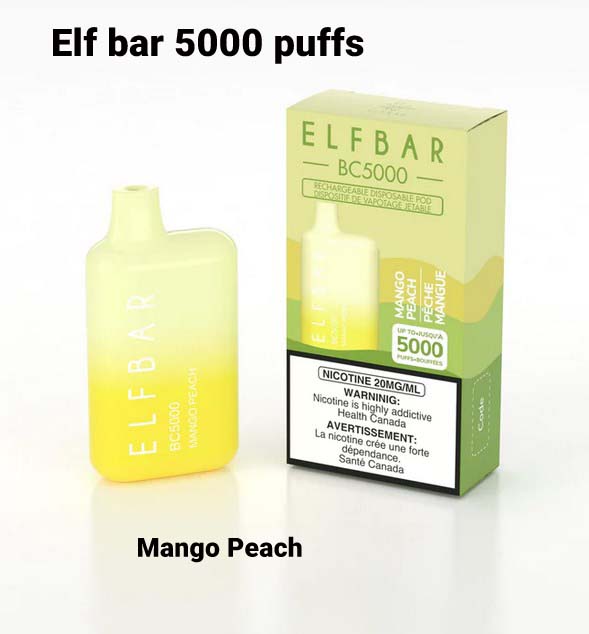 Elf Bar 5000 Puff Disposable