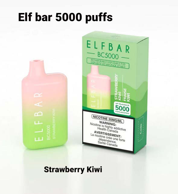 Elf Bar 5000 Puff Disposable