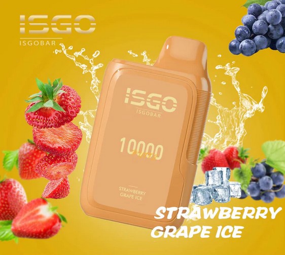 ISGO Bar 10000 Puffs Disposables Vape 50mg,