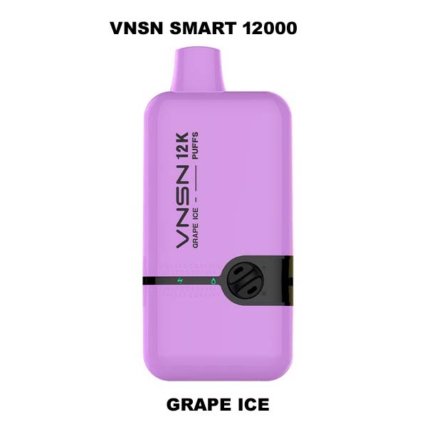 VNSN SMART 12000 DISPOSABLE BOX